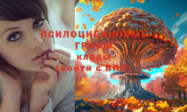 мяу мяу кристалл Балахна