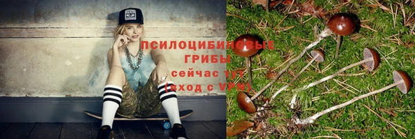 мяу мяу мука Балабаново
