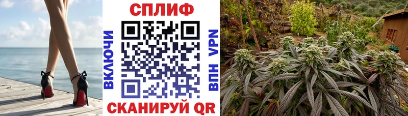 даркнет как зайти  мега   Колпашево  Каннабис тримм 